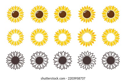 Yellow sunflowers bloom in spring. for decorating welcome sign