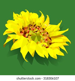 yellow sunflowers drawn in a vector