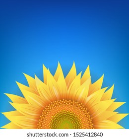 Yellow Sunflowers Flower With Blue Background With Gradient Mesh, Vector Illustration