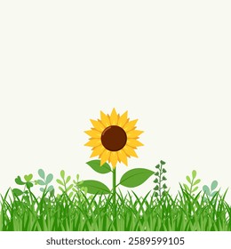 Yellow sunflowers in full bloom. Vector Illustration. All layered and grouped. Vector.