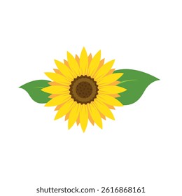 Yellow sunflowers in full bloom. Vector Illustration.