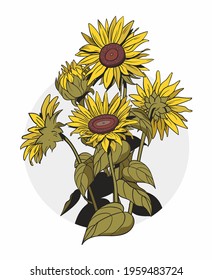 yellow sunflowers of the highest quality