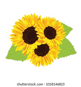 Yellow sunflowers illustration