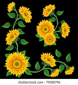 Yellow sunflowers on the  black background. Design element.