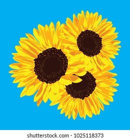 yellow sunflowers on light blue background