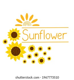 Yellow sunflowers, sun flat style, summer field agricultural plant simple vector hand drawn floral illustration, typography lettering, banner template