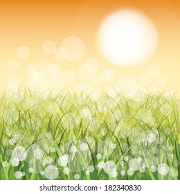 Yellow sunrise. Vector background with sun, grass and flare. EPS10