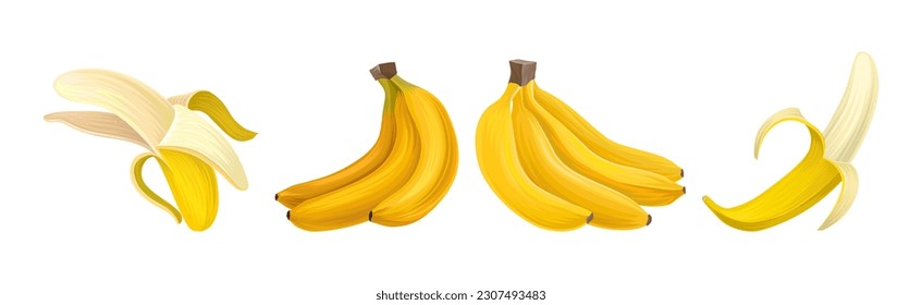 Yellow Sweet Banana Fruit with Peel Vector Set