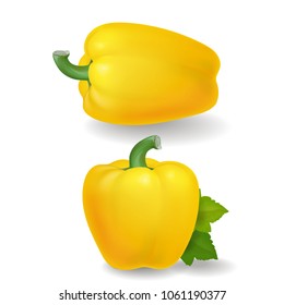 Yellow sweet bulgarian bell pepper realistic isolated iluustration