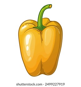 Yellow sweet pepper, vector illustration isolated on white background, eps10