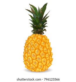 Yellow sweet pineapple isolated on white background. Vector illustration.