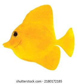 Yellow tang coral reef marine fish, goldfish, isolated on white background. Watercolor effect. Vector illustration. Clipart