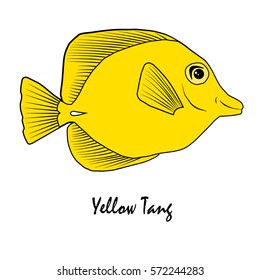 Yellow Tang Saltwater Aquarium Fish vector illustration