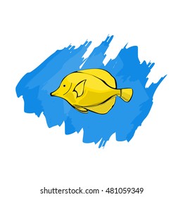 Yellow Tang - Zebrasoma flavescens - tropical marine fish. Vector illustration