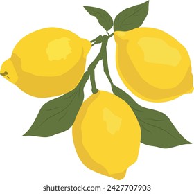 yellow three lemons on a branch with leaves , flt illustration of lemons , juicy lemons