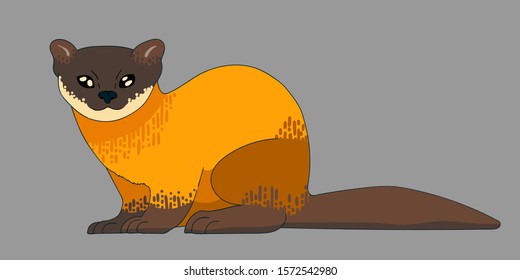 Yellow Throated Marten Cute Cartoon Character