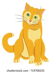 Yellow Tom Cat with Green Eyes