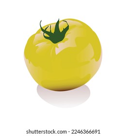 vector de ilustración de tomate amarillo, diseño creativo de tomate 3D. aislado de fondo blanco.