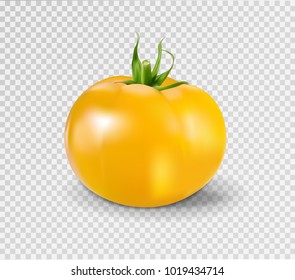 Yellow tomato. Realistic vector illustration