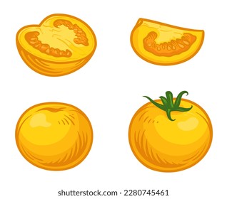 Yellow tomato, vector illustration. Whole, half and slice of tomato.