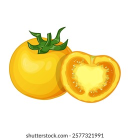 Yellow tomato, whole and half, vector illustration isolated on white background, eps10