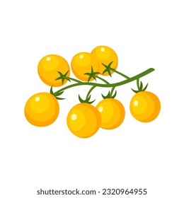 Yellow tomatoes cherry. Farm fresh tomato branch. Vector illustration in trendy flat style isolated on white background.