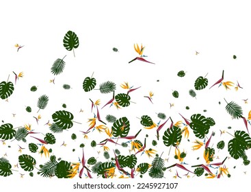 Yellow Tree Background White Vector. Hibiscus Hawaii Illustration. Green Foliage. Silhouette Texture. Light Green Graphic Design.