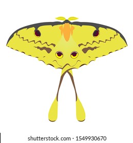 Yellow tropical butterfly Argema mimosae on a white background