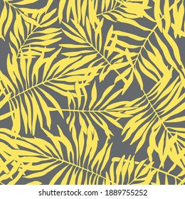 Yellow tropical plant leafs on grey background