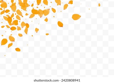 Yellow Tulip Beauty Vector Transparent Background. Fall Peony Backdrop. Beautiful Blossom Falling Design. Delicate Narcissus Spring Illustration.