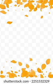 Yellow Tulip Blur Vector Transparent Background. Flying Rose Template. Delicate Blossom Summer Backdrop. Lemon Peach Beauty Frame.