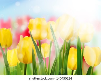 Yellow tulip with bokeh. And also includes EPS 10 vector