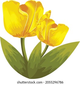 Objeto aislado vectorial detallado de tulipán amarillo
