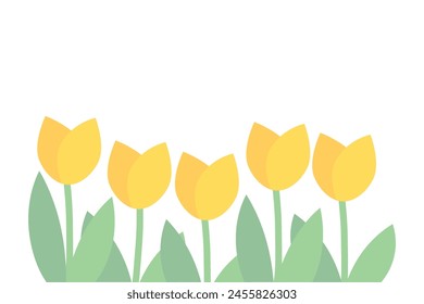 Yellow tulip flower border decoration. Plant, natural, blossom, floral, garden concept. Flat vector design isolated illustration on white background.