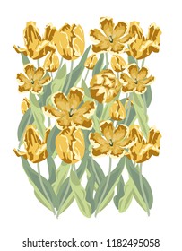yellow Tulip flower pattern vector illustration design