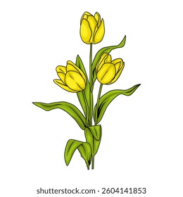 Yellow tulip flower vector illustration art design. Hand drawn with line art. Tulip logo icon vector style with white background