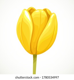 Yellow tulip half-open flower profile view isolated on white background