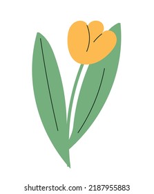 Yellow tulip icon. Graphic element for flower shop website, sticker for social media. Flower and plant, floristry and botany, love for nature. Beauty and aesthetics. Cartoon flat vector illustration