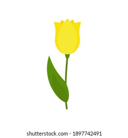 Yellow tulip on a green stem with leaves isolated on a white background. Template for greeting cards, banners for Valentines Day, March 8, Birthday, wedding. Vector illustration. Cartoon style