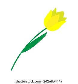 Gelbe Tulpe auf einem weißen Hintergrund Vektor-Illustration