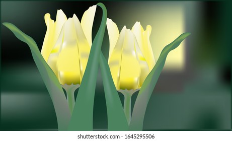 Yellow Tulip.Realistic tulips on the background of a blooming field.
