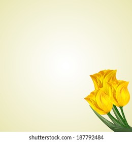 yellow tulips