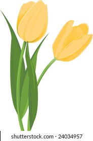 Yellow Tulips