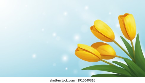 Yellow tulips background, vector illustration.