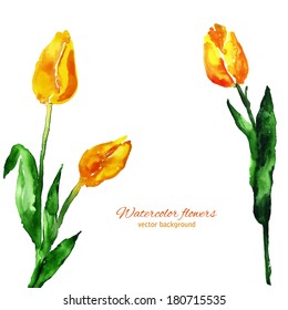 Yellow Tulips background. Watercolor floral decoration. Vector illustration. Greetings card template. 