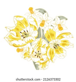 Yellow tulips and daffodils, composition of spring flowers on a white background, vector illustration