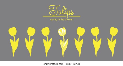 Yellow Tulips. Flat, horizontal pattern background with hand drawn tulips. Vector illustration - "spring tulips in the shower", text. Templates for festival banners, labels, flyers, invitations, posters
