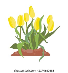 Yellow tulips. Garden tools illustrations in cartoon style. Bright gardening equipment, rake or shovel and lawnmower, farm or rural instrument on white