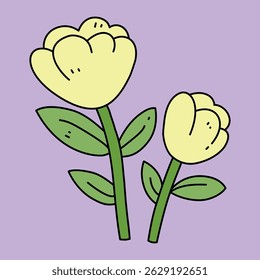 yellow tulips on purple background