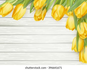 Yellow tulips on white wooden background. Image of spring season. EPS 10 vector file included